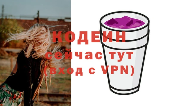 дмт Богданович