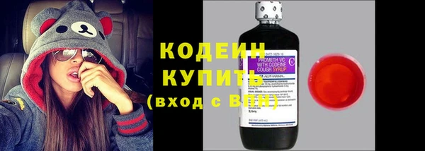 молекула духа Ладушкин