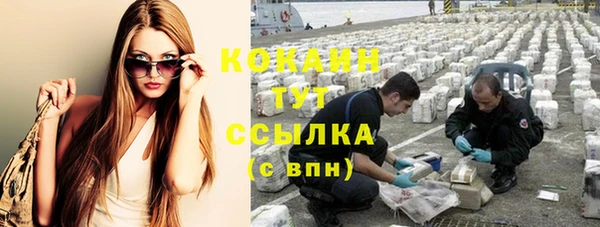 молекула духа Ладушкин