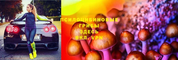 молекула духа Ладушкин