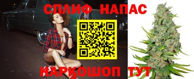 spice Кимры