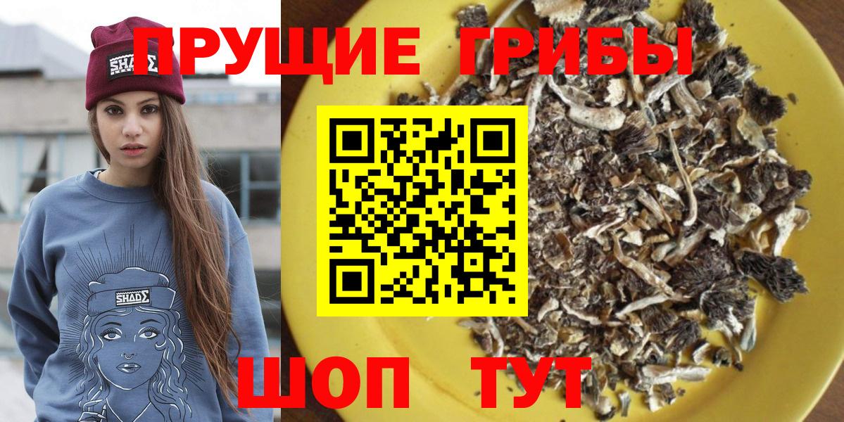 Псилоцибиновые грибы Psilocybine cubensis Нефтеюганск